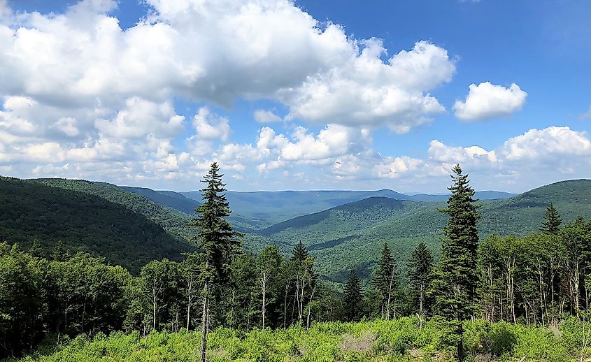 Williams River Overlook in Monongahela National Forest in West Virginia.