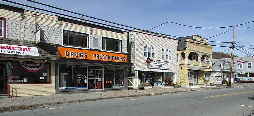 Image of Downtown Jeffersonville, New York