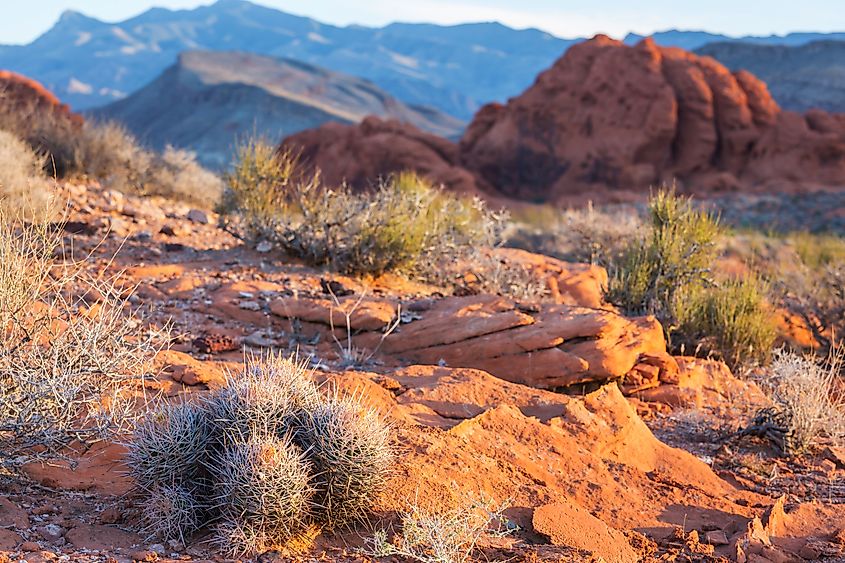 Rock Prominence in Gold Butte National Monument, Nevada