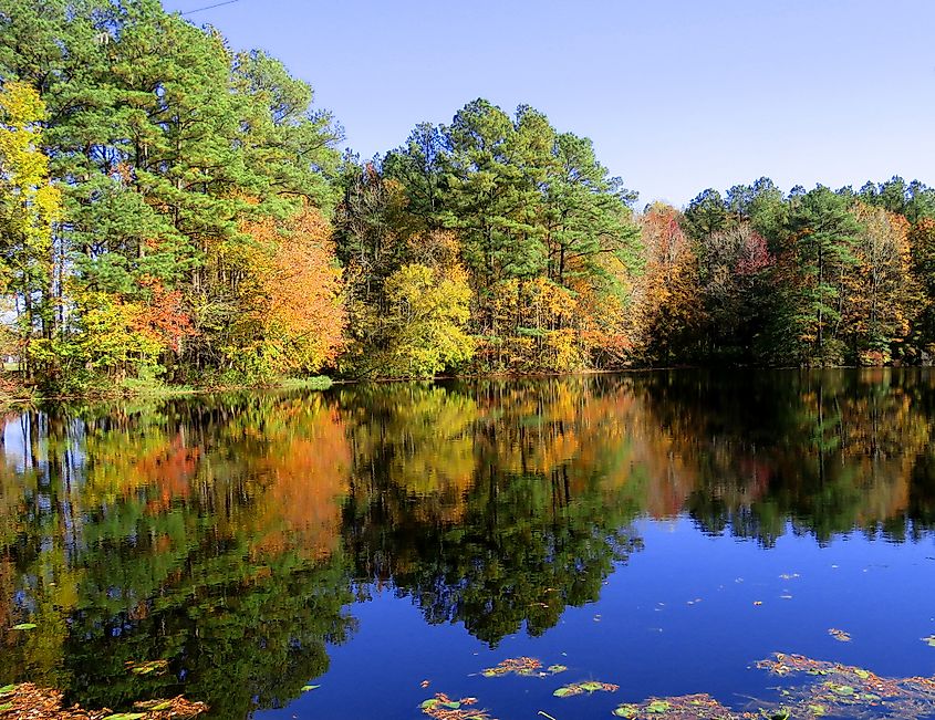 Reflected fall foliage at Trap Pond State Park in Delaware