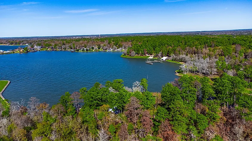 Aerial view of lake livingston state park, Texas, USA.