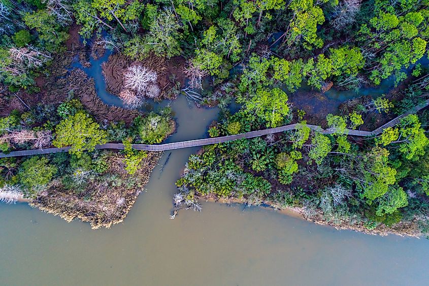 The east shore of Mobile Bay in Alabama with scenic views of the coast, marshes and small towns