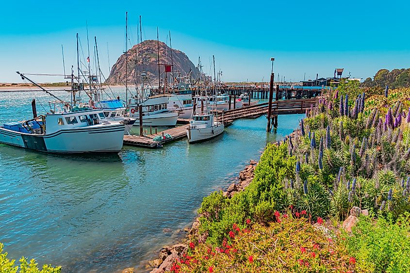 Morro Rock sits in the Morro Bay Harbor with fishing boats and a wharf next to it.