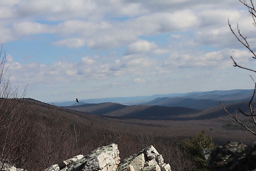 Rothrock State Forest