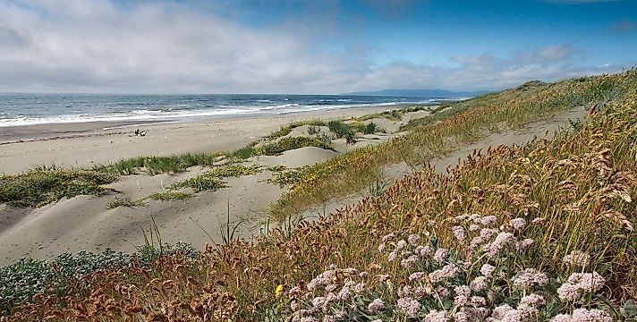 Humboldt bay national wildlife refuge.