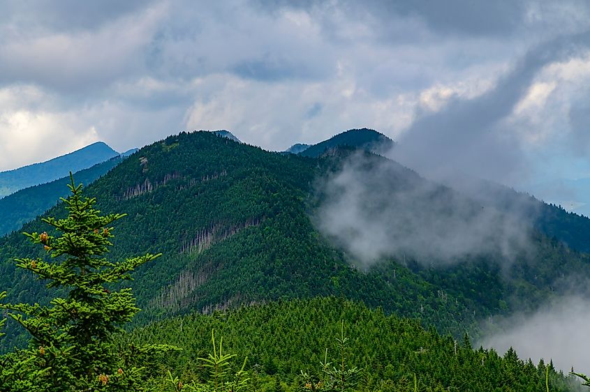 A scenic view of the surrounding mountains, trees, and sky at Mount Mitchell State Park, near Burnsville, North Carolina.