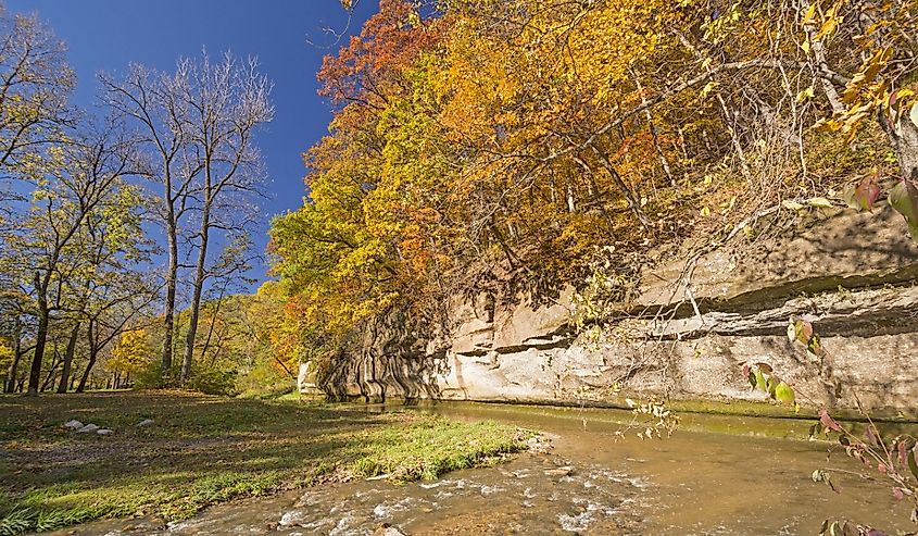 Fall Colors and Limestone Cliff on Peas Creek in Ledges State Park in Iowa