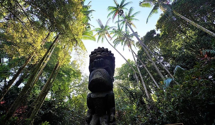 The Hawaii Tropical Botanical Gardens in Hilo