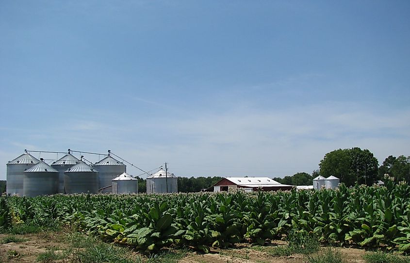 A farm in rural Kentucky