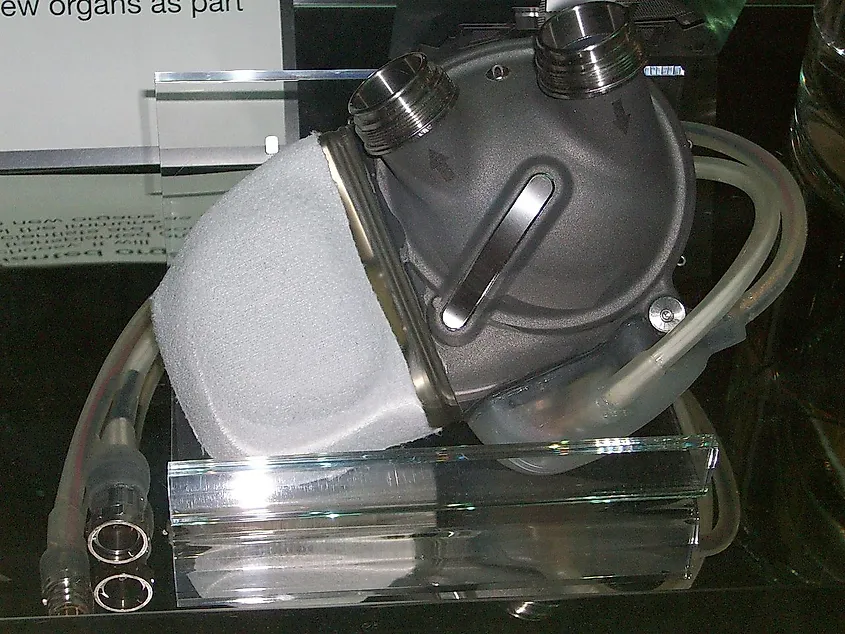An artificial heart on display at the London Science Museum.