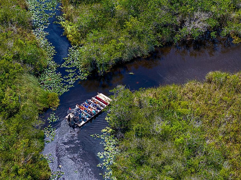 Aerial view of the Everglades in Florida.