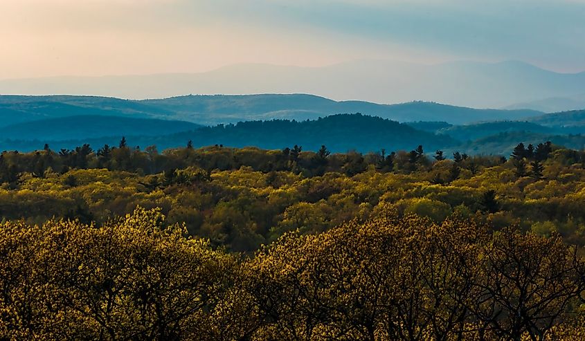 The view over the Berkshire Hills from Mohawk Mountain.