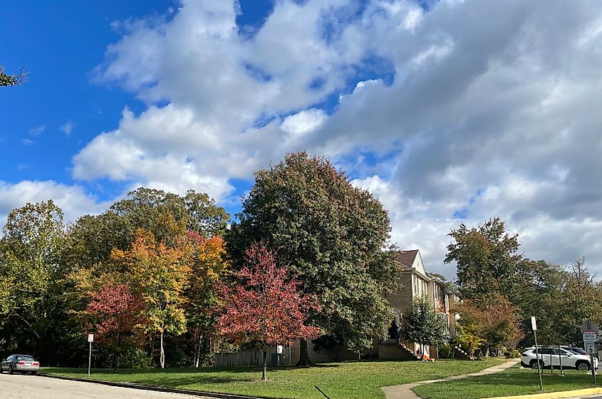 Suburban Homes Surrounded by Trees Changing Colors in Lorton, Virginia. Editorial credit: Foolish Productions / Shutterstock.com