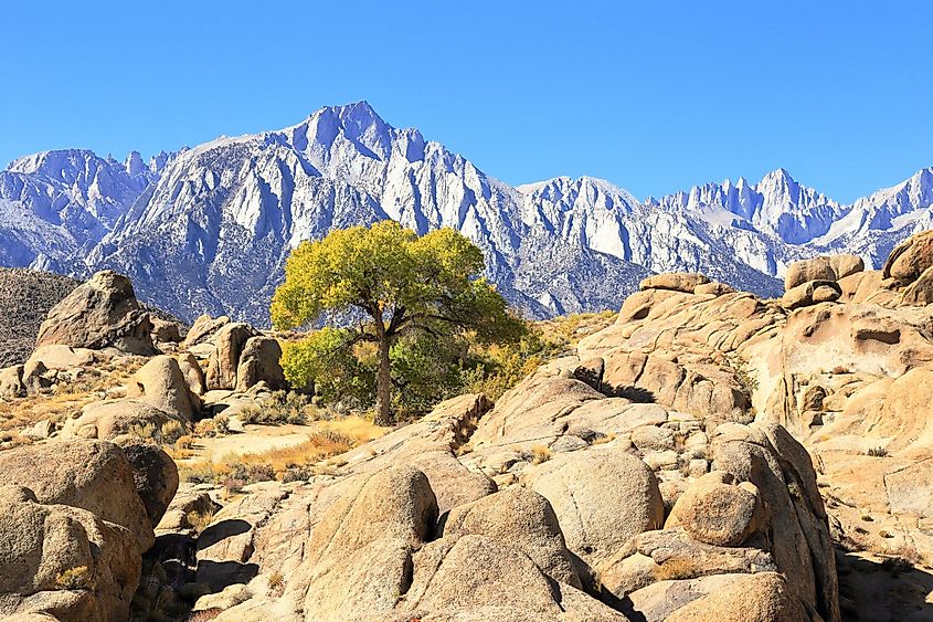 Alabama Hills with the Sierra Nevada in the background in Lone Pine, California.