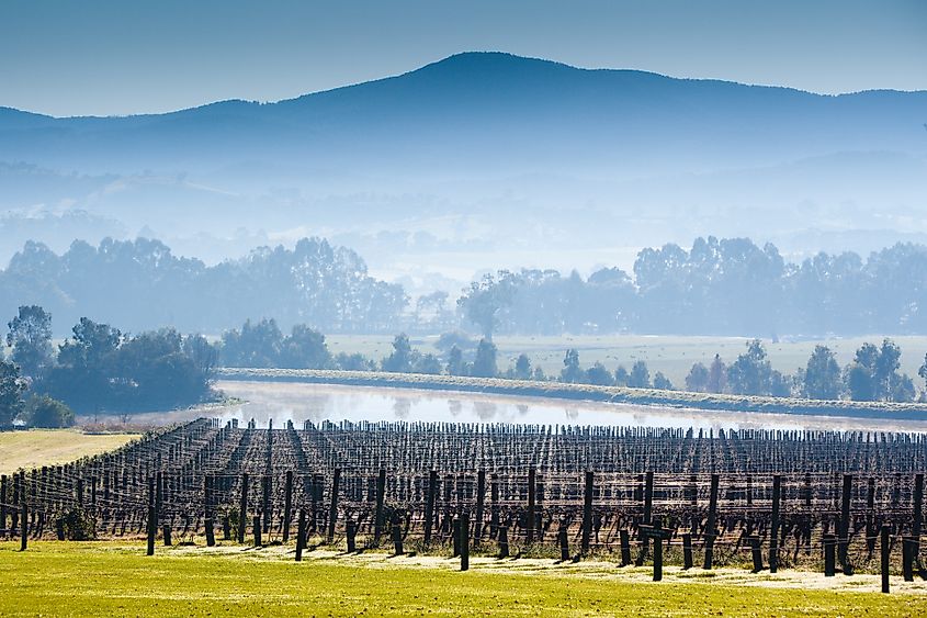 Domaine Chandon winery on a cold winter's morning in the Yarra Valley, Victoria, Australia