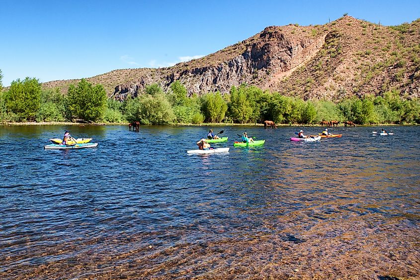 The Salt River in Arizona