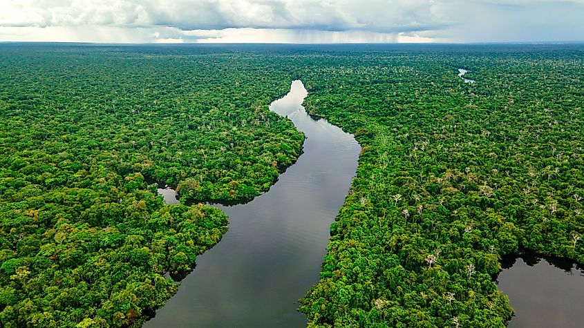 Aerial view of the lush Amazon rainforest, with a winding river cutting through the dense greenery under a cloudy sky.
