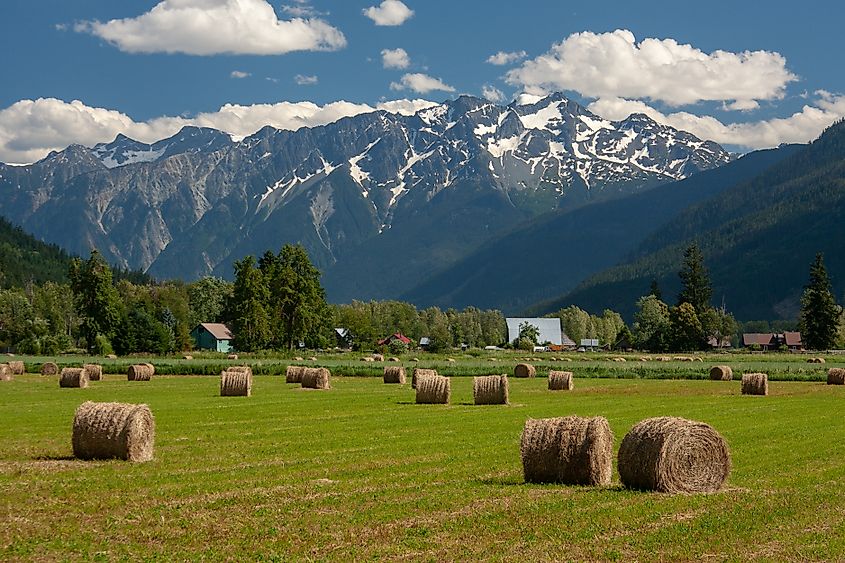 Mount Currie and hay bales in Pemberton, British Columbia