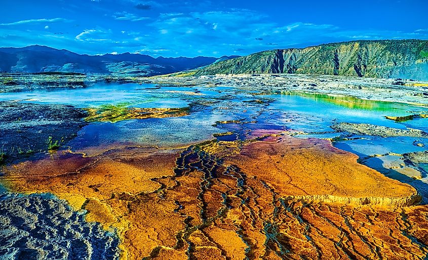 A view of the unique terraces of Mammoth Hot Springs in Yellowstone National Park, Wyoming, USA, known for its stunning geothermal features.