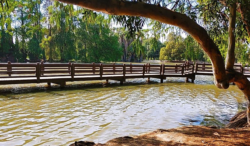 View of park around Lake Evans