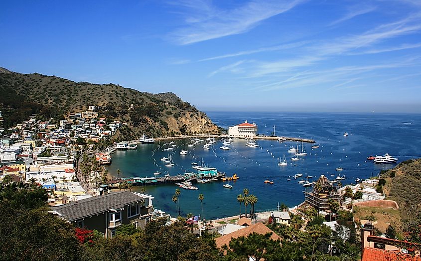 Aerial view of Avalon, Santa Catalina Island, California