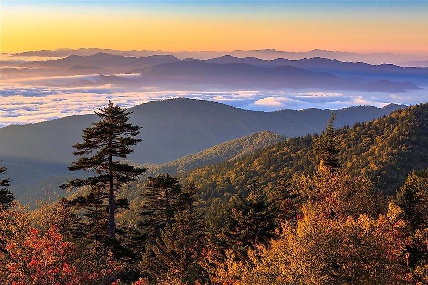 Clingmans Dome rising above the clouds in the Great Smoky Mountains National Park.