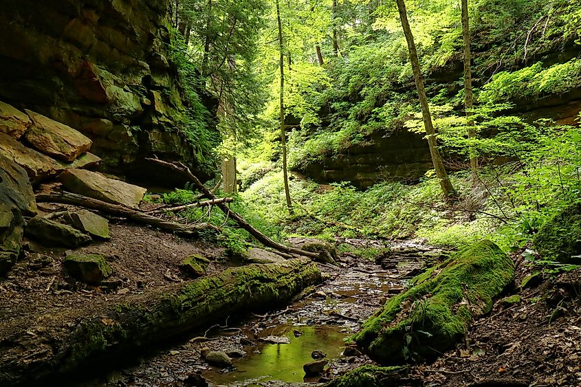 Shades State Park near Waveland, Indiana.