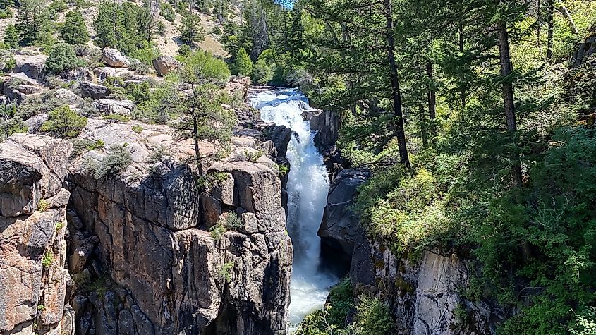 Bighorn National Forest near Buffalo, Wyoming.