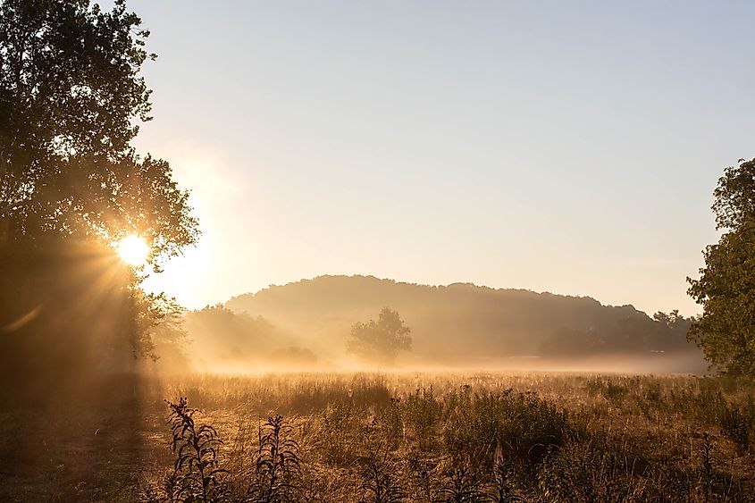 Meadow in the morning in Lewisburg, West Virginia.