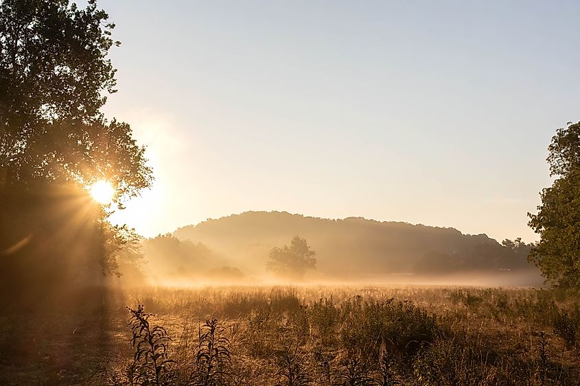 Morning meadow in Lewisburg, West Virginia.