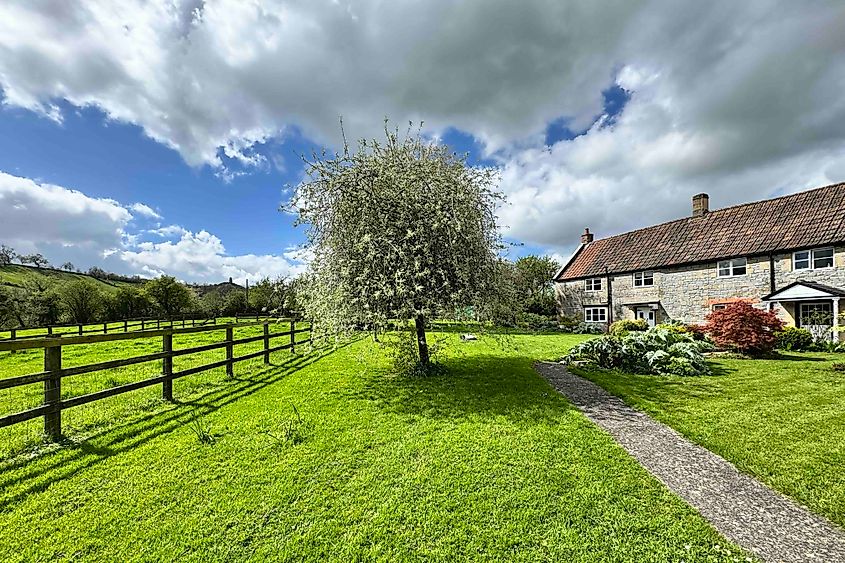 Glastonbury Middlewick view Image credit Bryan Dearsley