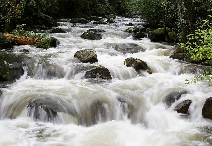 The Middle Saluda River at Jones Gap State Park