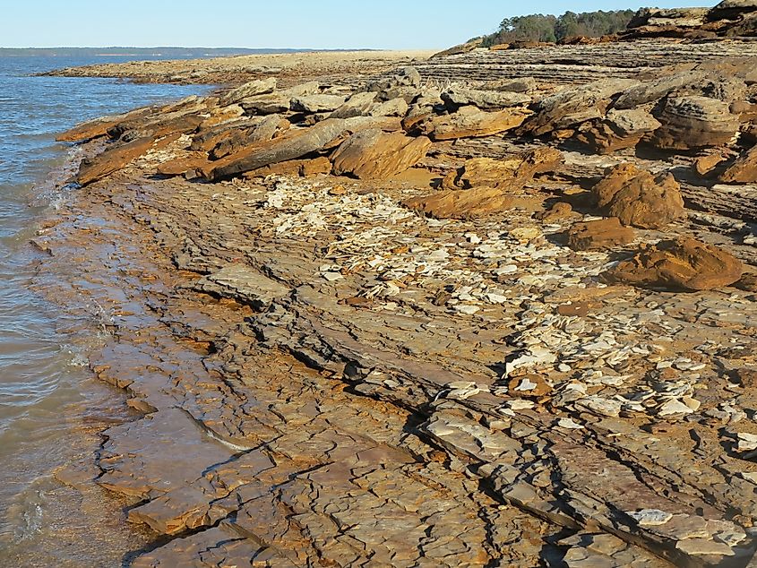 Clay beach along Grenada Lake in Grenada, Mississippi.