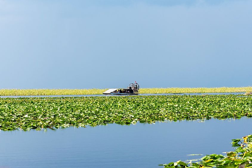  Florida wetland, Air boat ride at Everglades National Park in September. Editorial credit: Mariusz Bugno / Shutterstock.com