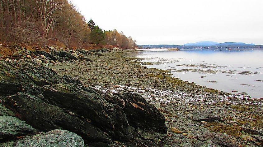 Lamoine State Park in Maine, image by Sveta Malinina via Flickr.