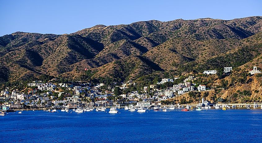 Avalon is a resort community with the waterfront dominated by tourism-oriented businesses on Santa Catalina Island. Editorial credit: Darryl Brooks / Shutterstock.com