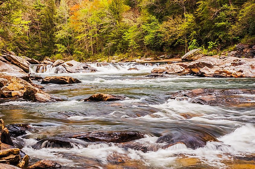 Raven's Chute rapids on the Chattooga Wild and Scenic River