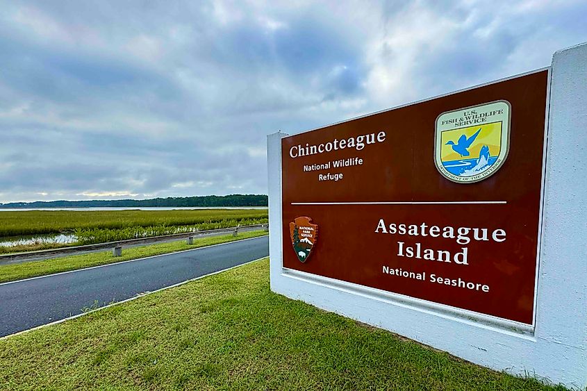 Chincoteague National Wildlife Refuge Image Credit Bryan Dearsley