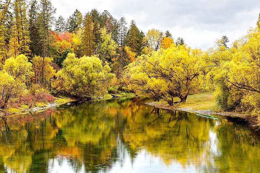 View along the Whitefish River in Whitefish, Montana.