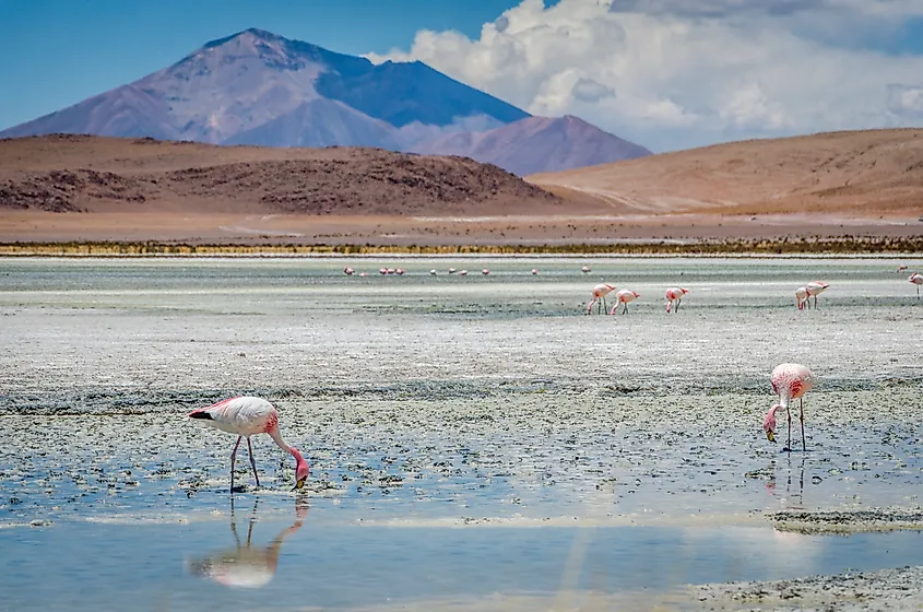 Landscapes of the Atacama Desert.