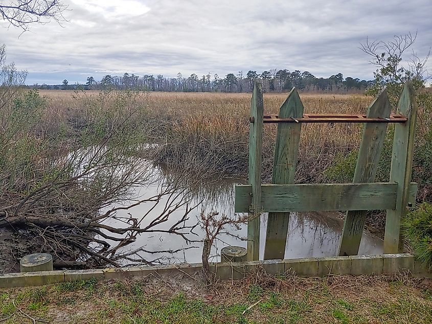 ACE Basin NWR, South Carolina