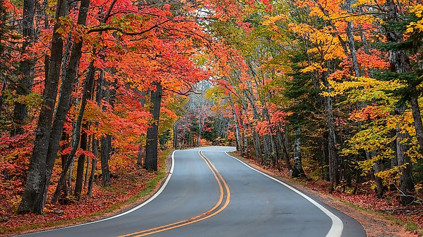 A picturesque tunnel of autumn trees lines the scenic byway M41 on the Keweenaw Peninsula in Michigan's Upper Peninsula.