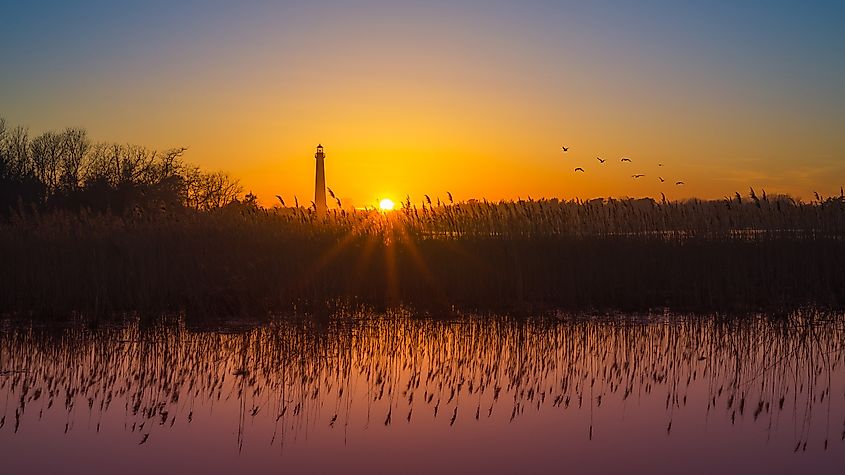 Marshlands at Cape May