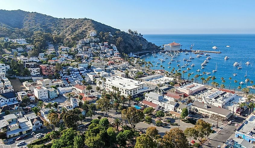 Aerial view of Avalon downtown and bay with boats in Santa Catalina Island, famous tourist attraction in Southern California, USA