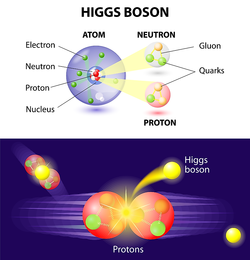 The Two Sides of the Electroweak Force - WorldAtlas