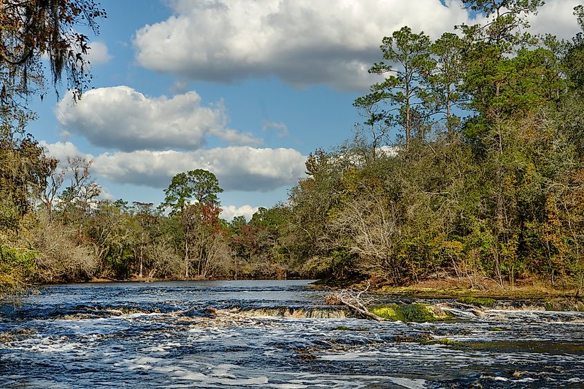 Big Shoals State Park near White Springs, Florida