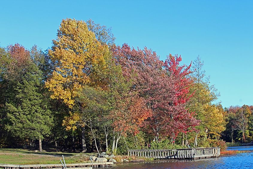 Wawayanda State Park, Sussex County, NJ, USA, in the fall with colorful leaves.