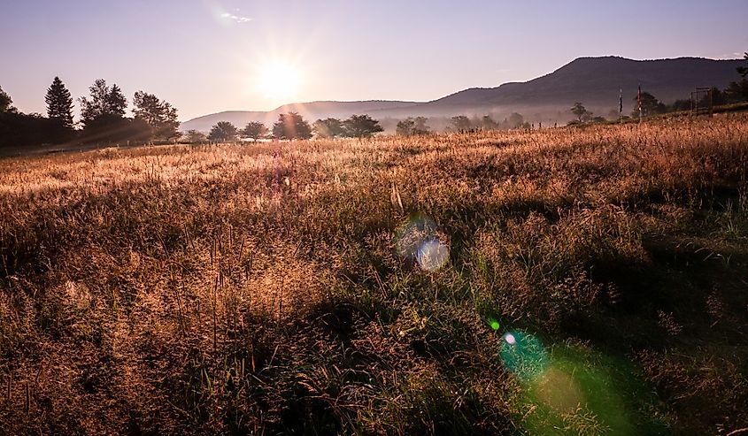 Canaan Valley State Park and Resort, West Virginia