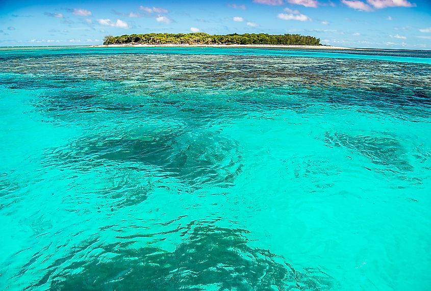 Lady Musgrave Atol, Great Barrier Reef, Queensland