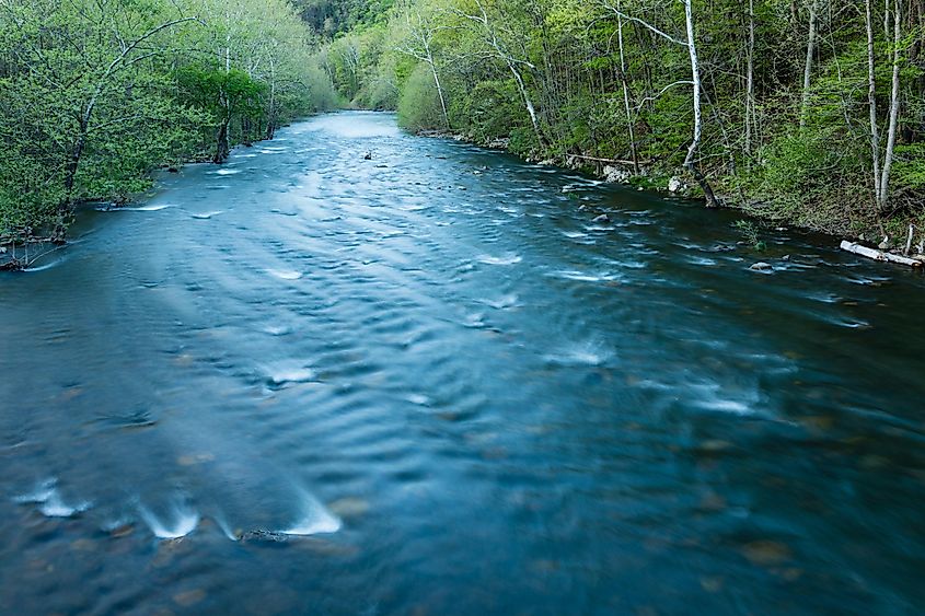 Monongahela River flowing through the forested area.